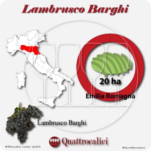 Il Vitigno Lambrusco Barghi e la sua coltivazione in Italia