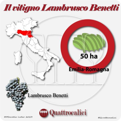 Il vitigno lambrusco benetti in italia