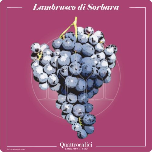 Vitigno  Lambrusco di Sorbara