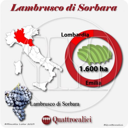 Il Vitigno Lambrusco di Sorbara e la sua coltivazione in Italia