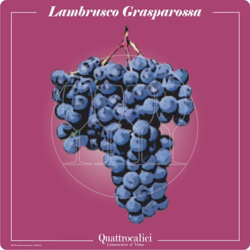 Vitigno  Lambrusco Grasparossa