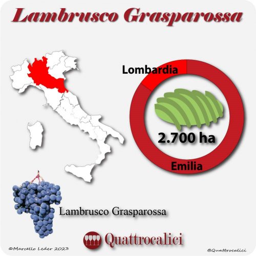 Il Vitigno Lambrusco Grasparossa e la sua coltivazione in Italia