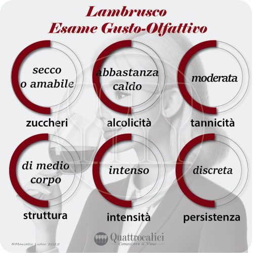 L'esame gustativo dei vini Lambrusco