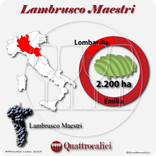 Il Vitigno Lambrusco Maestri e la sua coltivazione in Italia