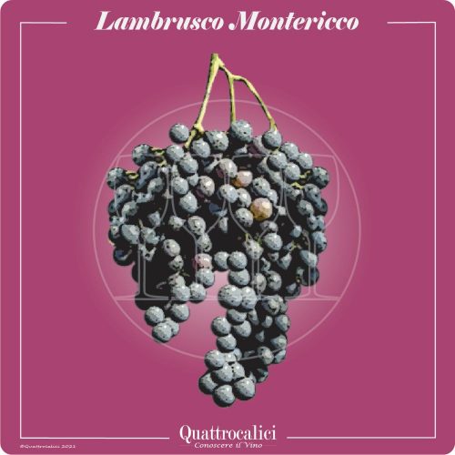 Vitigno  Lambrusco Montericco