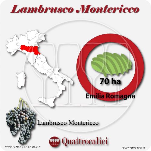 Il Vitigno Lambrusco Montericco e la sua coltivazione in Italia