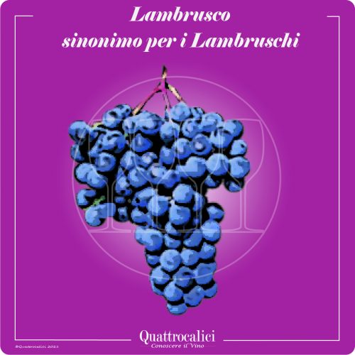 Vitigno  Lambrusco