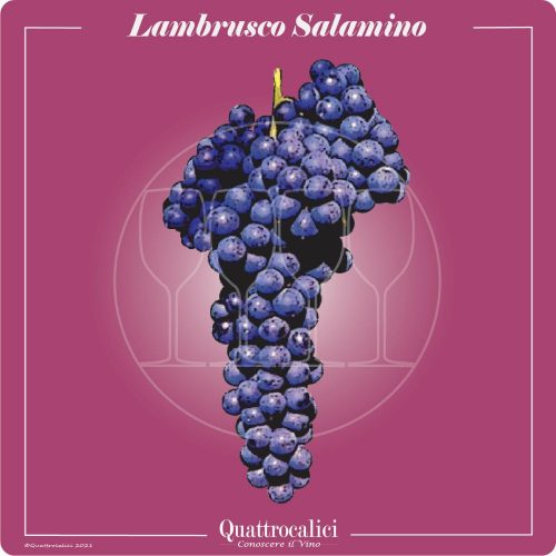 Vitigno  Lambrusco Salamino