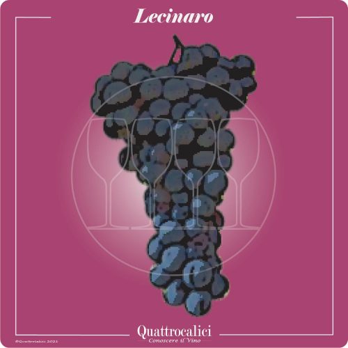 Vitigno  Lecinaro