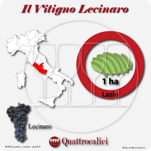Il Vitigno Lecinaro e la sua coltivazione in Italia