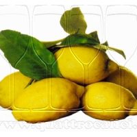 Limone Costa d’Amalfi IGP