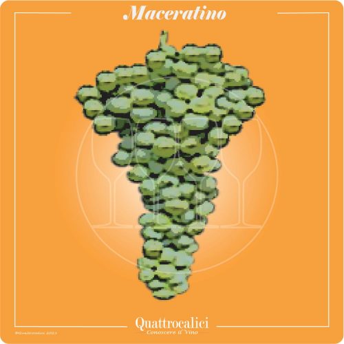 Vitigno  Maceratino