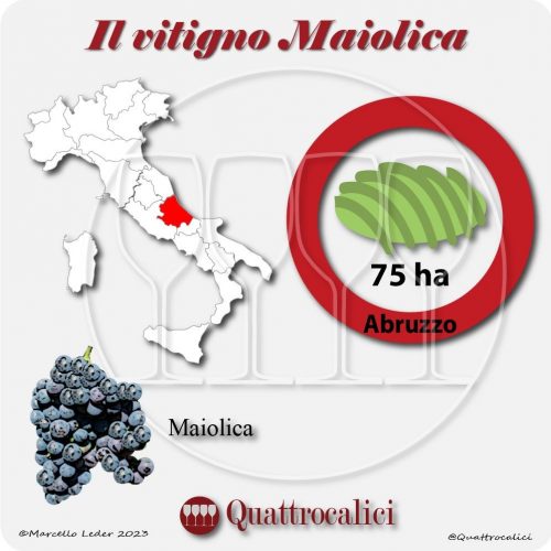 il vitigno maiolica in abruzzo