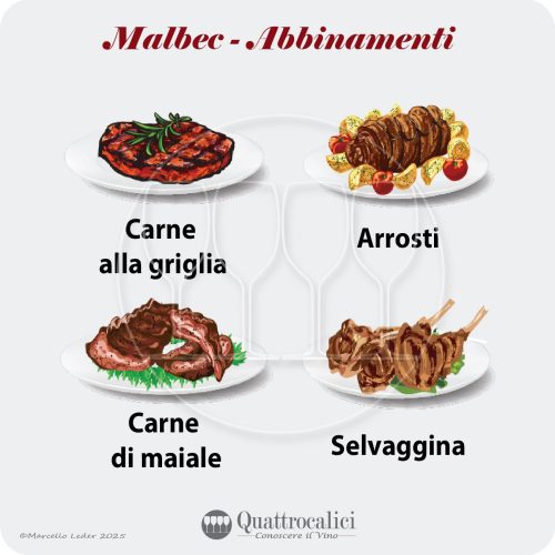 Gli abbinamenti al cibo per i vini Malbec