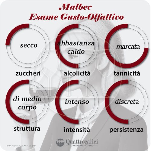 L'esame gusto-olfattivo dei vini Malbec