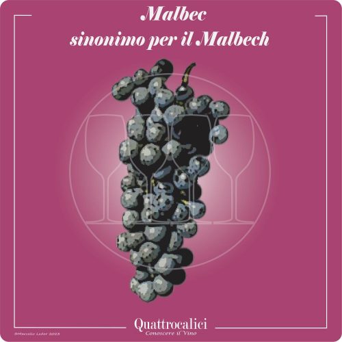Vitigno  Malbec