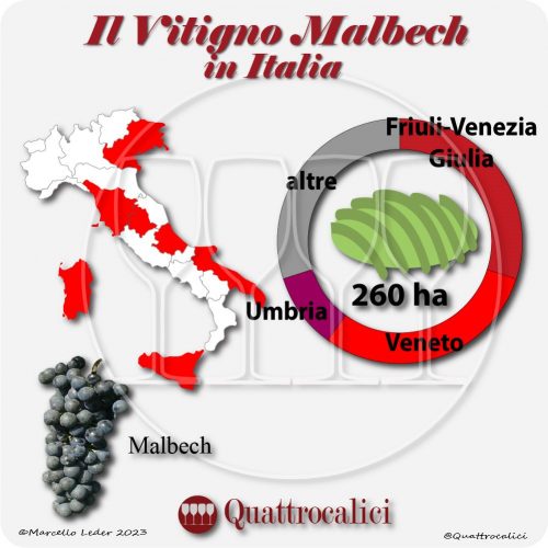 Il vitigno Malbech in Italia