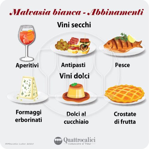 L'abbinamento dei vini Malvasia bianca