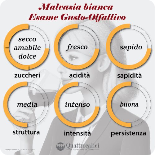 L'esame gustativo dei vini Malvasia bianca