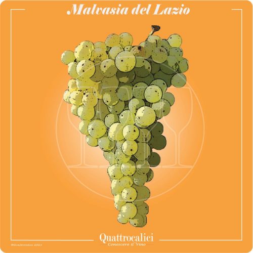 Vitigno  Malvasia del Lazio