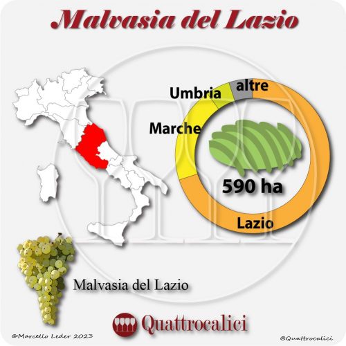 Il Vitigno Malvasia del Lazio e la sua coltivazione in Italia