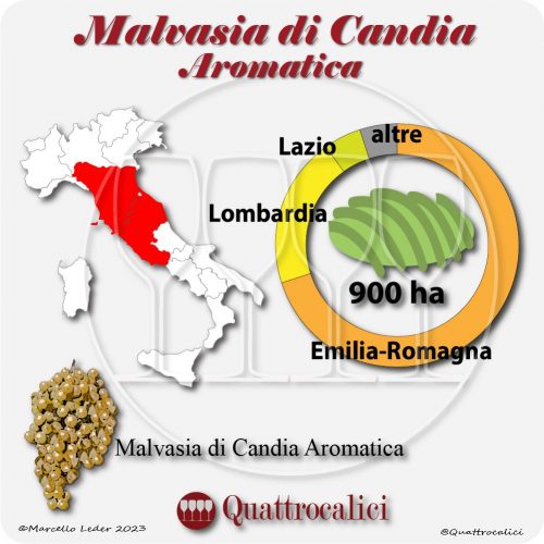 Il Vitigno Malvasia di Candia aromatica e la sua coltivazione in Italia