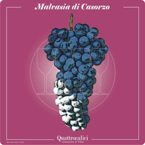 Vitigno  Malvasia di Casorzo