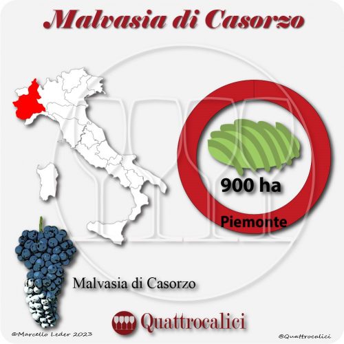 Il Vitigno Malvasia di Casorzo e la sua coltivazione in Italia