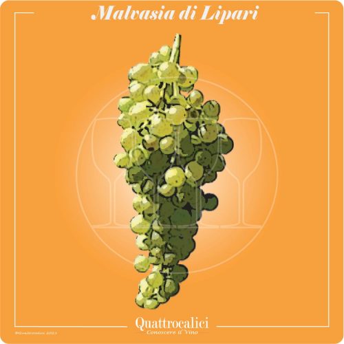 Vitigno  Malvasia di Lipari