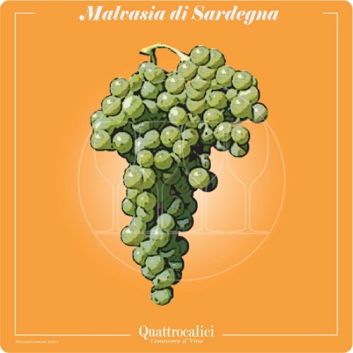 Vitigno  Malvasia di Sardegna