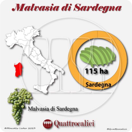 Il Vitigno Malvasia di Sardegna e la sua coltivazione in Italia