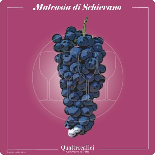 Vitigno  Malvasia di Schierano