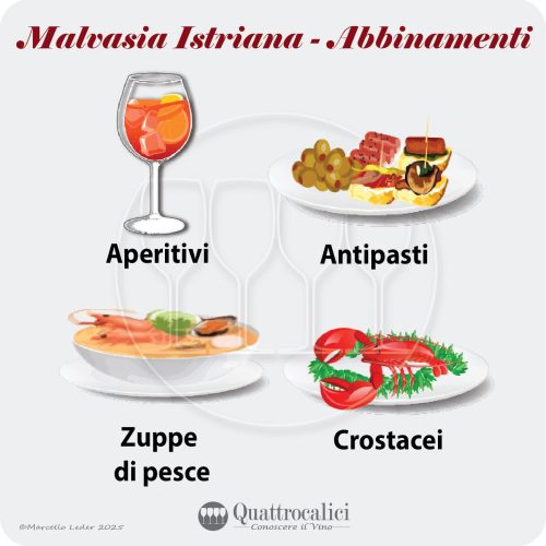 L'abbinamento al cibo dei vini Malvasia Istriana