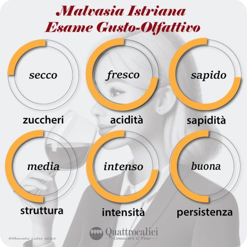 L'esame gusto-olfattivo dei vini Malvasia istriana