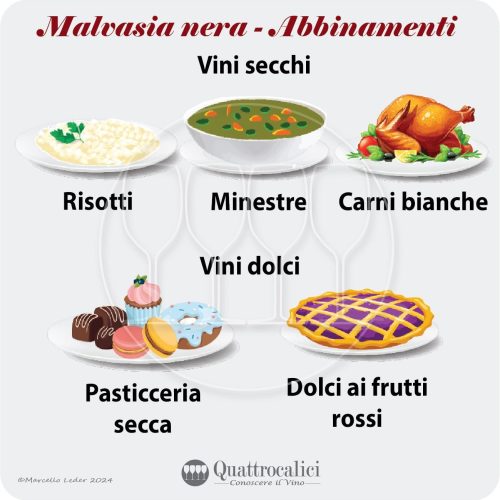 Gli abbinamenti al cibo dei vini Malvasia nera
