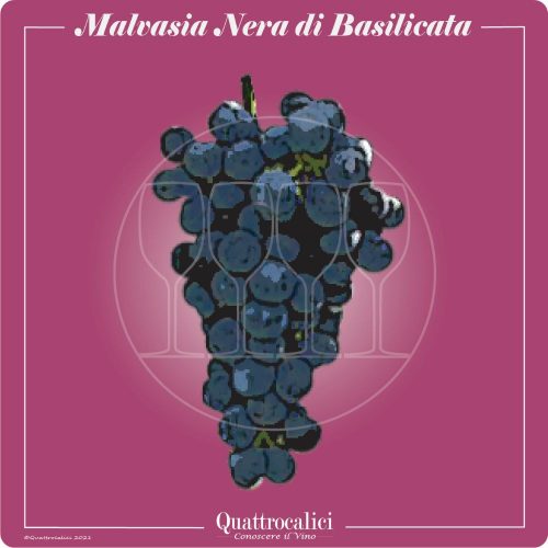 Vitigno  Malvasia nera di Basilicata