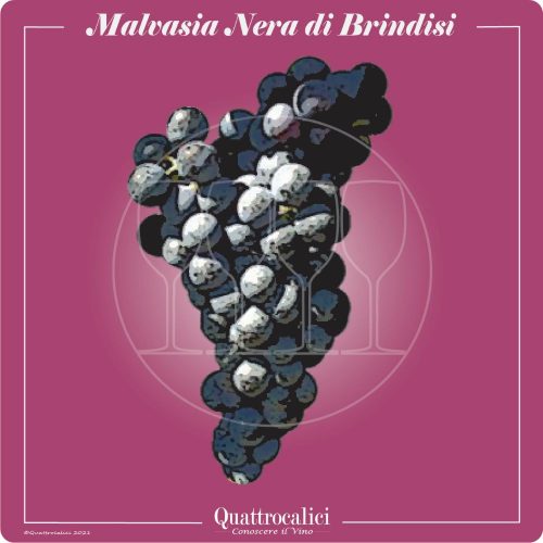 Vitigno  Malvasia nera di Brindisi