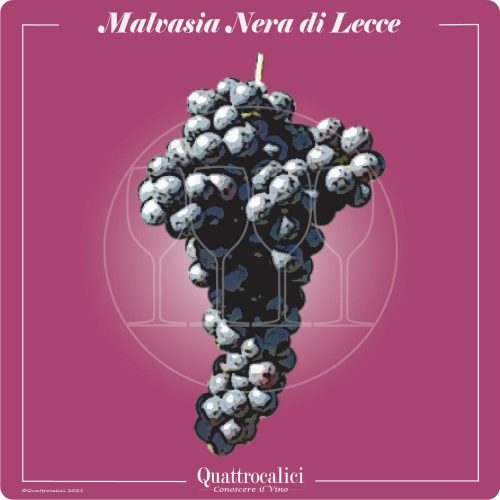 Vitigno  Malvasia nera di Lecce