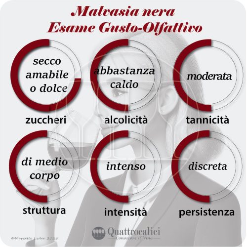 L'esame gusto-olfattivo dei vini Malvasia nera