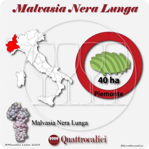 Il Vitigno Malvasia nera lunga e la sua coltivazione in Italia