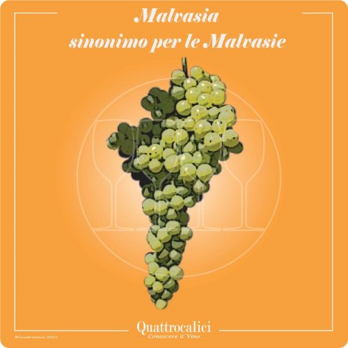 Vitigno  Malvasia