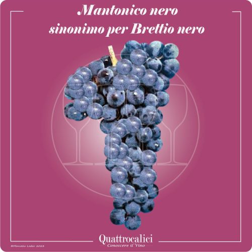 il vitigno mantonico nero