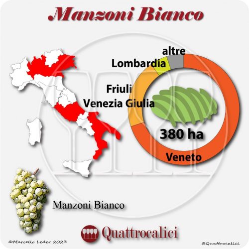 Il Vitigno Manzoni bianco e la sua coltivazione in Italia