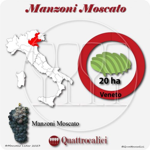 Il Vitigno Manzoni Moscato e la sua coltivazione in Italia