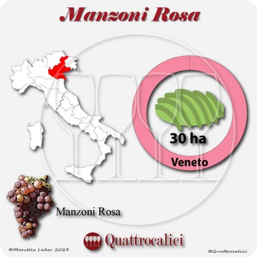 Il Vitigno Manzoni rosa e la sua coltivazione in Italia