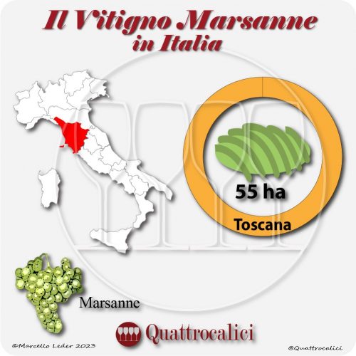 Il vitigno Marsanne in Italia