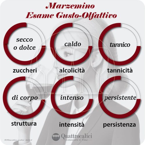 L'esame gusto-olfattivo dei vini Marzemino