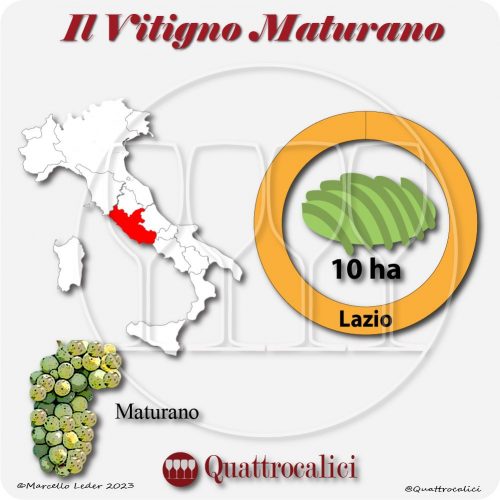 Il Vitigno Maturano e la sua coltivazione in Italia