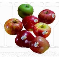 Mela Alto Adige o Südtiroler Äpfel IGP