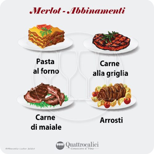 Gli abbinamenti al cibo per i vini Merlot